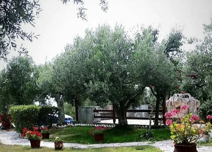 Vigla Ias 2 Pensión Paradisos